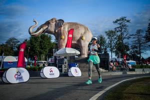 BIB: 
                            <button type="button" onclick="openModal(26541822)" class="btn btn-primary btn-sm float-right btn-popup" data-toggle="modal" data-target=".modal-high-quality">
                        <i class="fas fa-shopping-cart"></i> Add to Cart
                    </button>
                                            <button type="button" onclick="isThisMe(26541822, true)" class="btn btn-success btn-sm float-right btn-popup btn-isme hidden" data-toggle="tooltip" data-placement="bottom" title="นี่คือรูปของคุณใช่ไหม คลิกที่นี่เพื่อเอาเข้าอัลบั้ม">
                        <i class="fas fa-plus"></i> Add to album
                    </button>
                    <button type="button" onclick="isThisMe(26541822, false)" class="btn btn-warning btn-sm float-right btn-popup btn-isnotme hidden">
                        <i class="fas fa-ban"></i> Remove from album
                    </button>